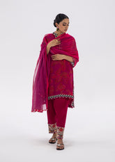 Sana Safinaz Classics Lawn- Unstitched 3 Piece Suit - SS25CV1-10- Summer Collection 2025